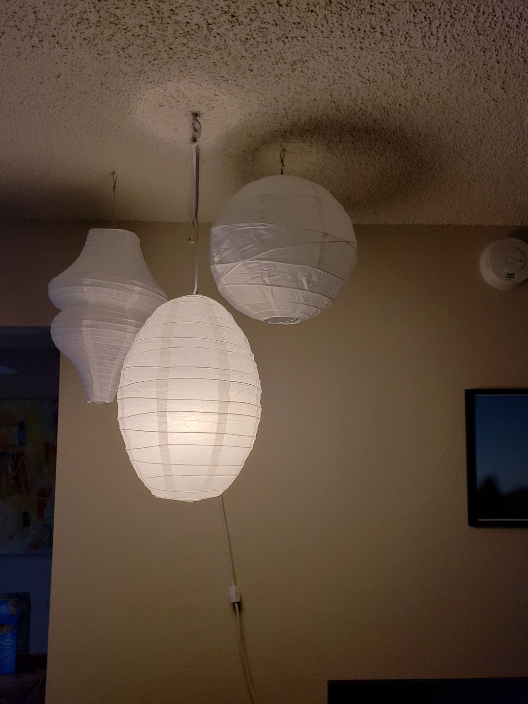Customer photo review of 8" White Round Paper Lantern, Crisscross Ribbing, Chinese Hanging Wedding & Party Decoration