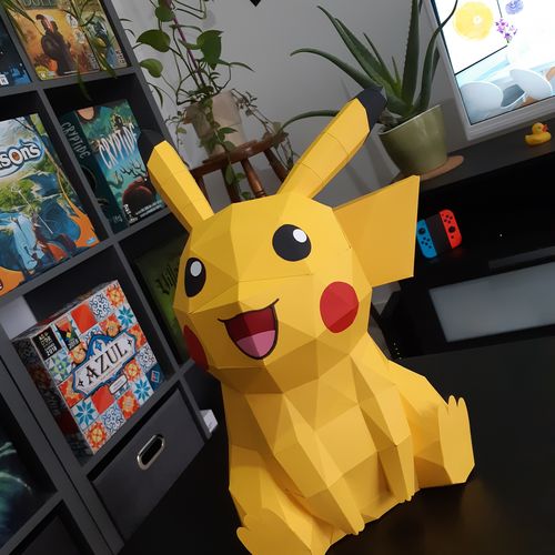 Customer photo review of Pikachu