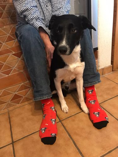 Customer photo review of Chaussettes Personnalisées Animal NO