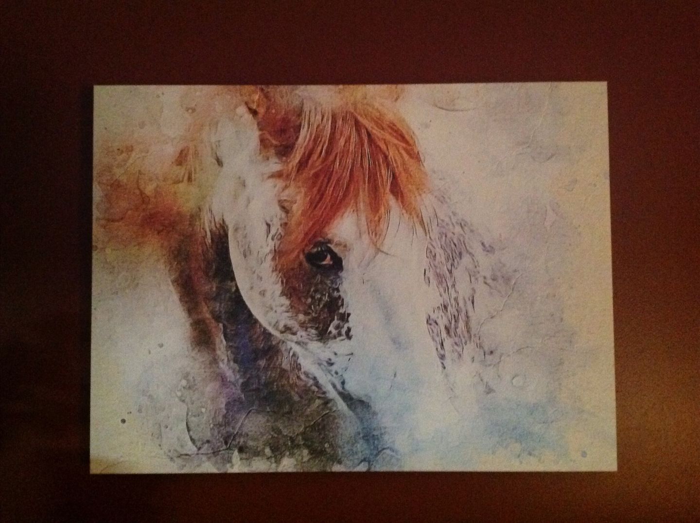 Customer photo review of Personalized Horse portrait