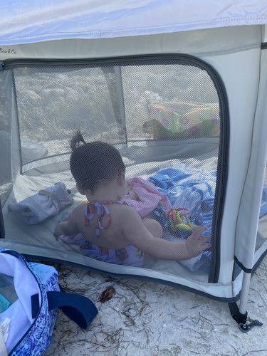 Customer photo review of Pop N' Go® Playpen