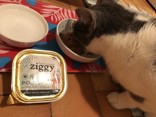 Avis photo d'un client sur Pâtée Chat Stérilisé Sans Céréales - Saumon