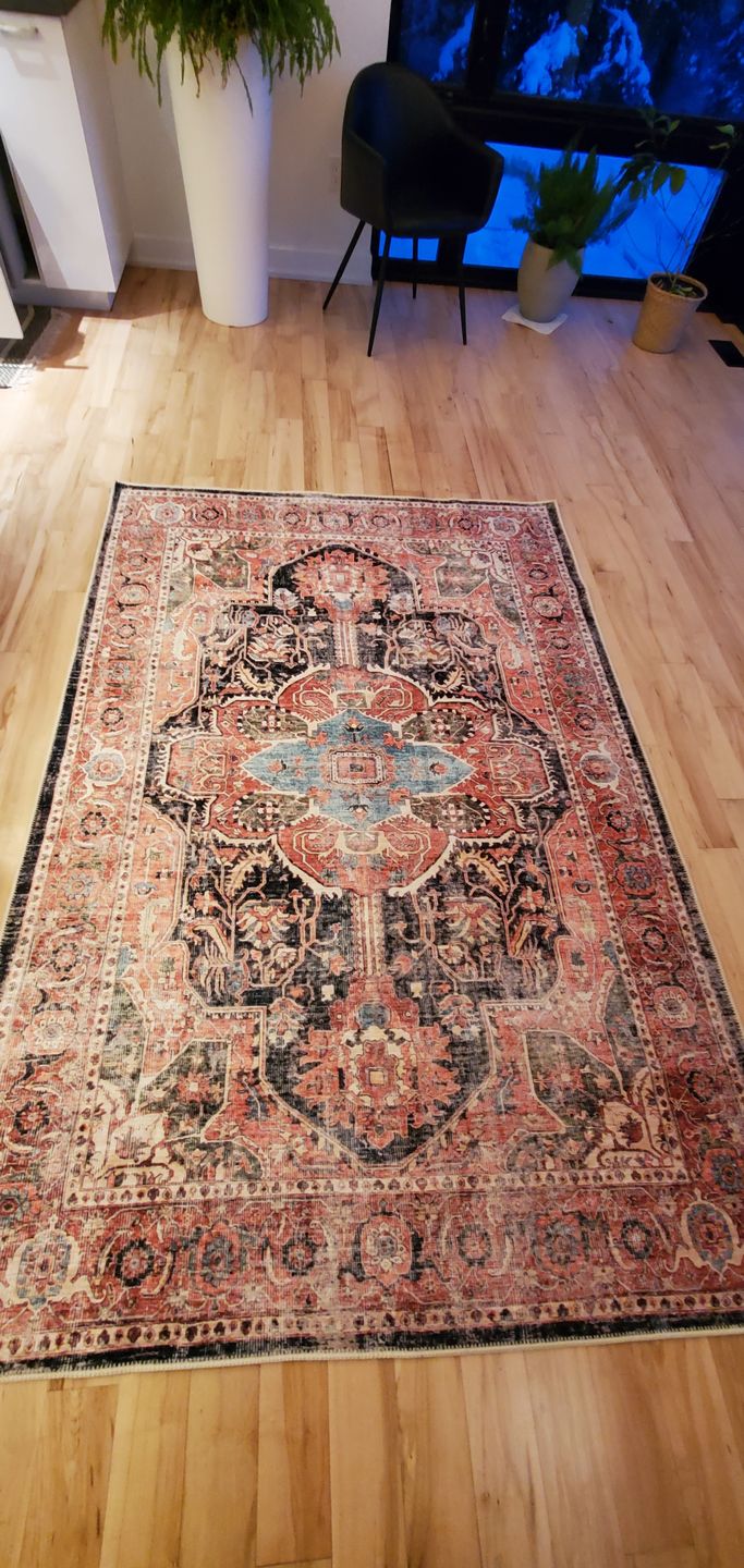 Customer photo review of Distressed Vintage Kendra Area Rug