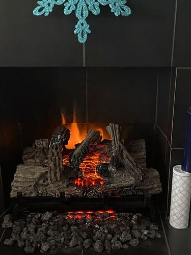 Customer photo review of Napoleon Woodland 27'' Electric Fireplace Log Insert