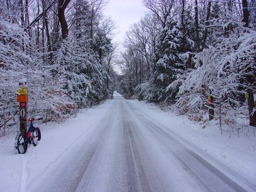 Customer photo review of Wolftrax 26 x 4in 120Tpi Fat Bike Tire