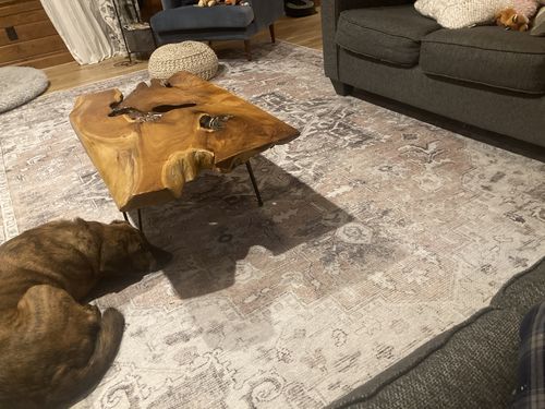 Customer photo review of Distressed Vintage Cezanne Blush Area Rug