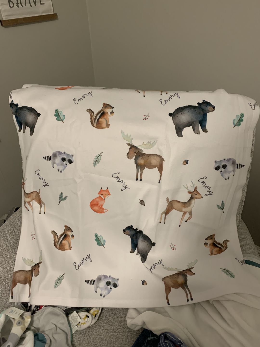 Customer photo review of Woodland Animals Personalized Baby Blanket