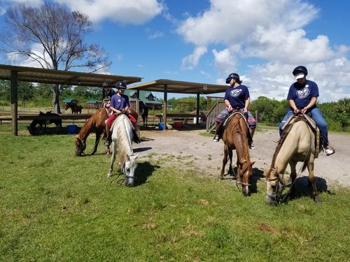 Customer photo review of GrubTerra Dried Larvae