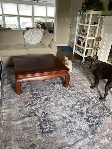 Customer photo review of Distressed Vintage Cezanne Blush Area Rug