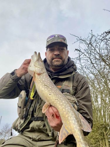 Customer photo review of OBVIER™ PROFESSIONAL POLARIZED FISHING GLASSES (New 2021)
