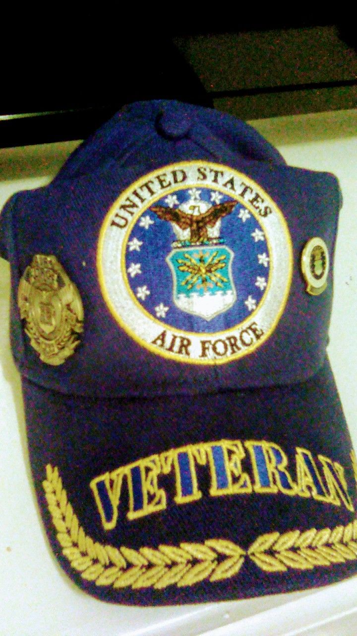Customer photo review of US Air Force Veteran's Day Pin