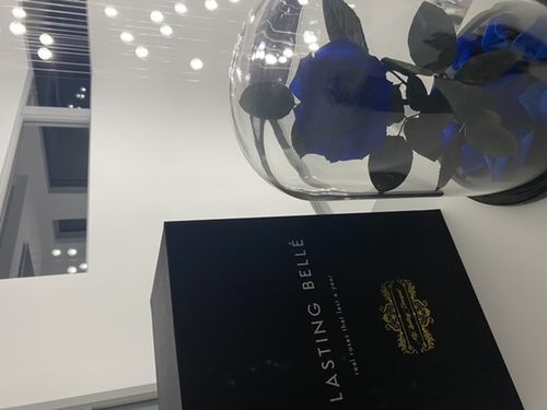 Customer photo review of Midnight Blue Lasting Belle