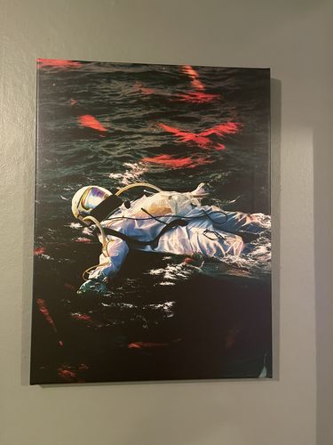 Customer photo review of Going with the Flow Canvas Set
