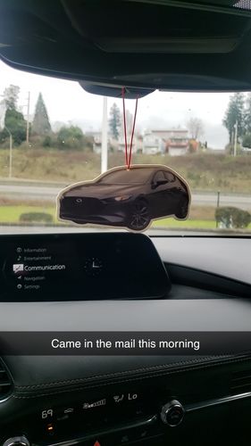 Customer photo review of Custom Air Freshener