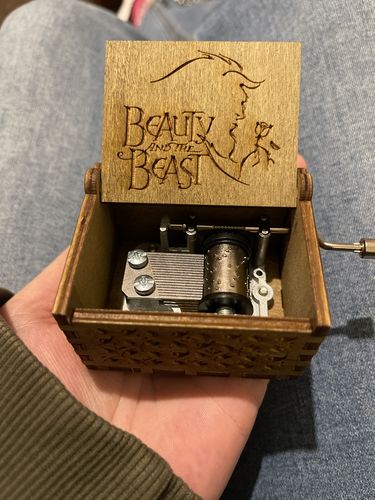 Customer photo review of Beauty and The Beast