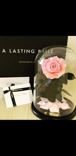 Customer photo review of Red Lasting Belle