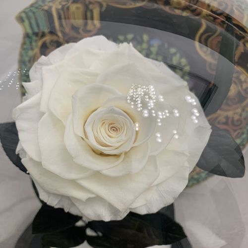 Customer photo review of White Lasting Belle