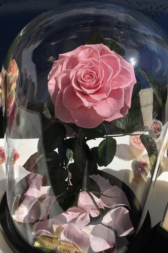 Customer photo review of White Lasting Belle