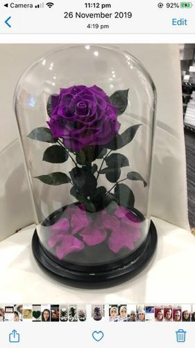 Customer photo review of A Lasting Bélle