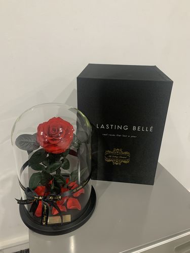 Customer photo review of Pink Lasting Belle