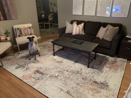 Customer photo review of Abstract Celine Blush Rug
