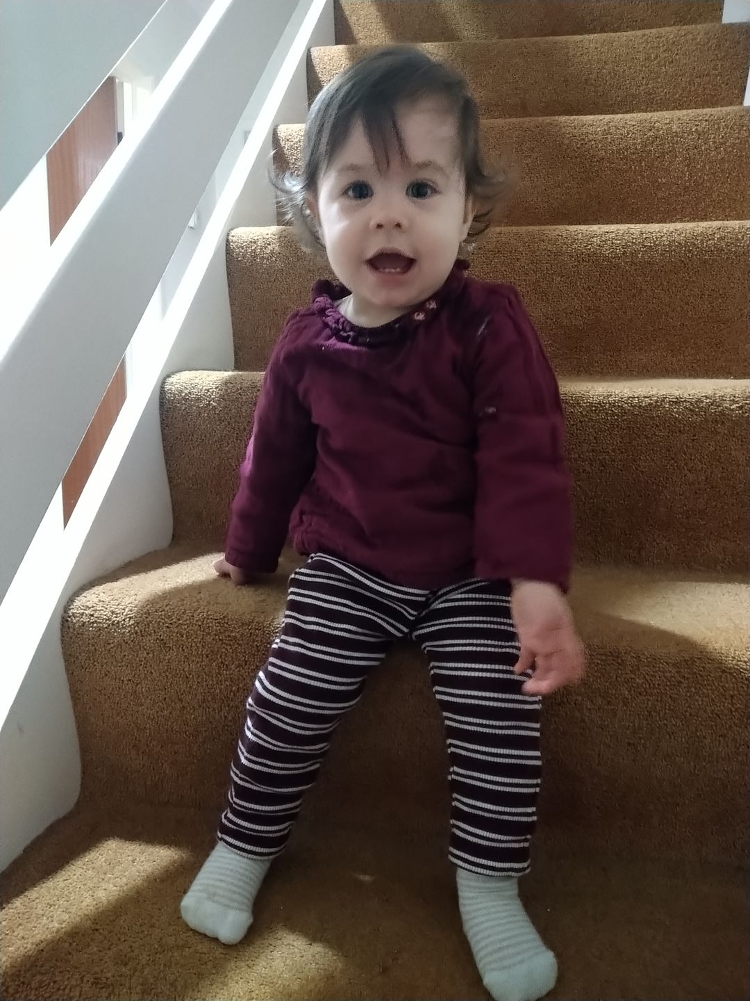 Customer photo review of Toadstool Plum Classic Blouse