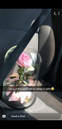Customer photo review of Pink Lasting Belle