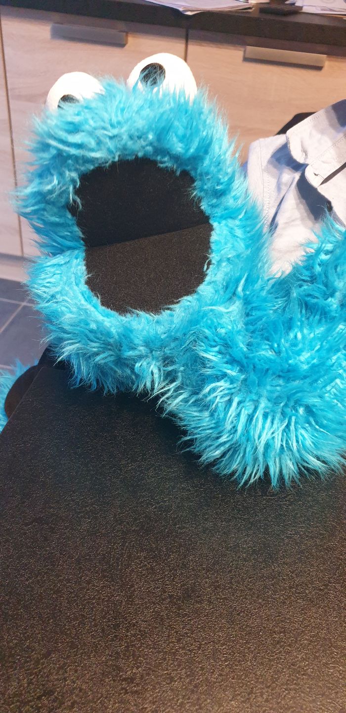 Customer photo review of Cookie Monster Marionnette Sesame Street