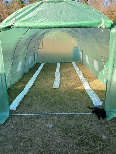 Customer photo review of Erommy 20'x10'x7' Tunnel Greenhouses Walk-in Hoop House, Green