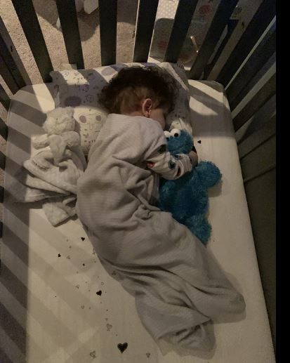 Customer photo review of Hypoallergenic Toddler Pillow with 100% Cotton Pillowcase