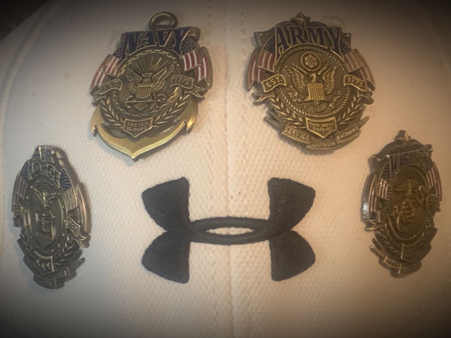 Customer photo review of US Air Force Veteran's Day Pin
