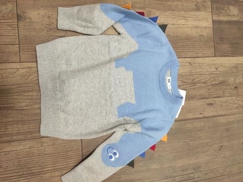 Customer photo review of Pull Diplodocus Tricoté Garçon (2-9 Ans)