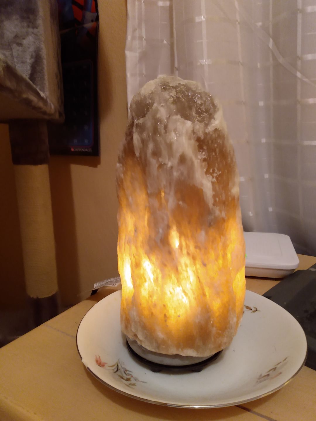 Customer photo review of Replacement Bulb for Himalayan Salt Lamps (15 Watt)