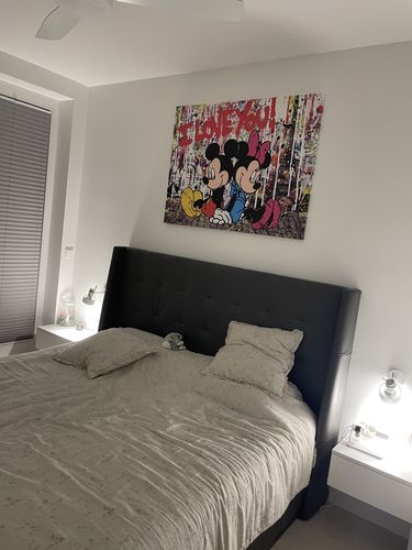 Customer photo review of Tableau Mickey Minnie Loves