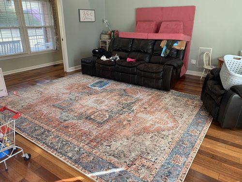 Customer photo review of Distressed Vintage Cezanne Terracotta Sky Area Rug