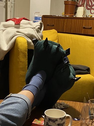 Customer photo review of Chausson Dinosaure Vert