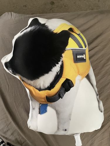 Customer photo review of Create A Custom Object Pillow