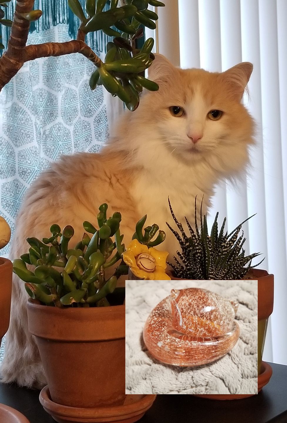 Customer photo review of Half-tone Sleeping Glass Cat with Infused Cremation Ashes