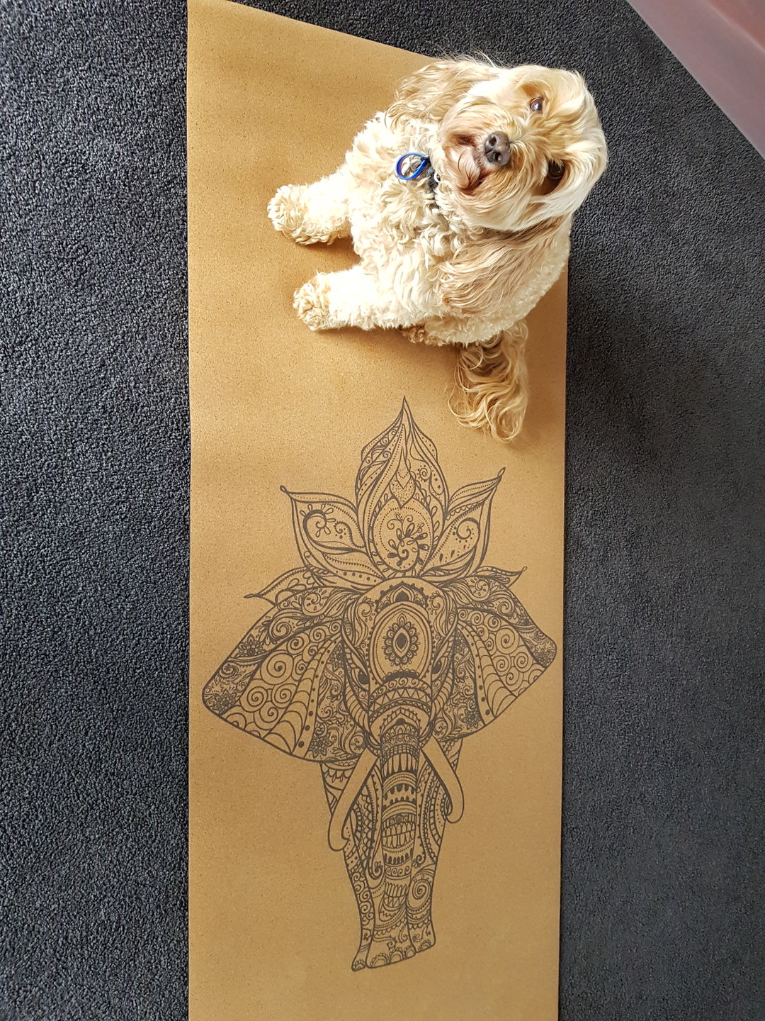 Customer photo review of Elephant Yoga Mat