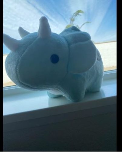 Customer photo review of Peluche Dinosaure Doudou Triceratops