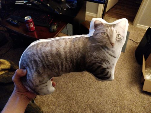 Customer photo review of Create A Custom Object Pillow