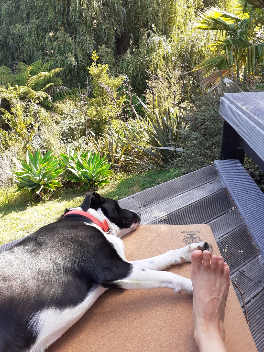 Customer photo review of Premium Yoga Mat