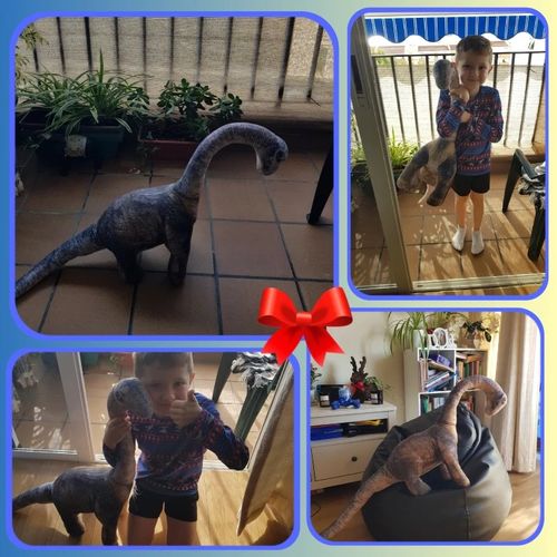 Customer photo review of Peluche Dinosaure Diplodocus