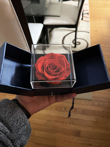 Customer photo review of I LOVE YOU IN 100 LANGUAGES NECKLACE PRESERVED XL FOREVER ROSE BOX