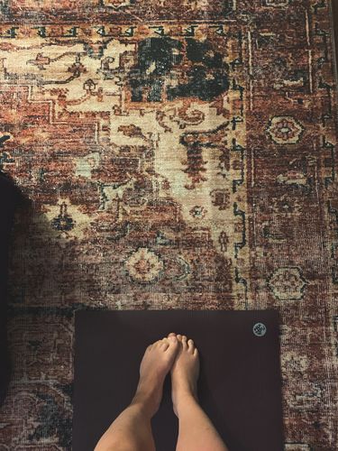 Customer photo review of Distressed Vintage Cezanne Terracotta Area Rug
