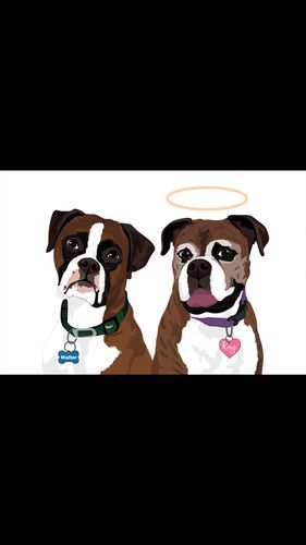 Customer photo review of Custom Framed Two-Pet Portrait