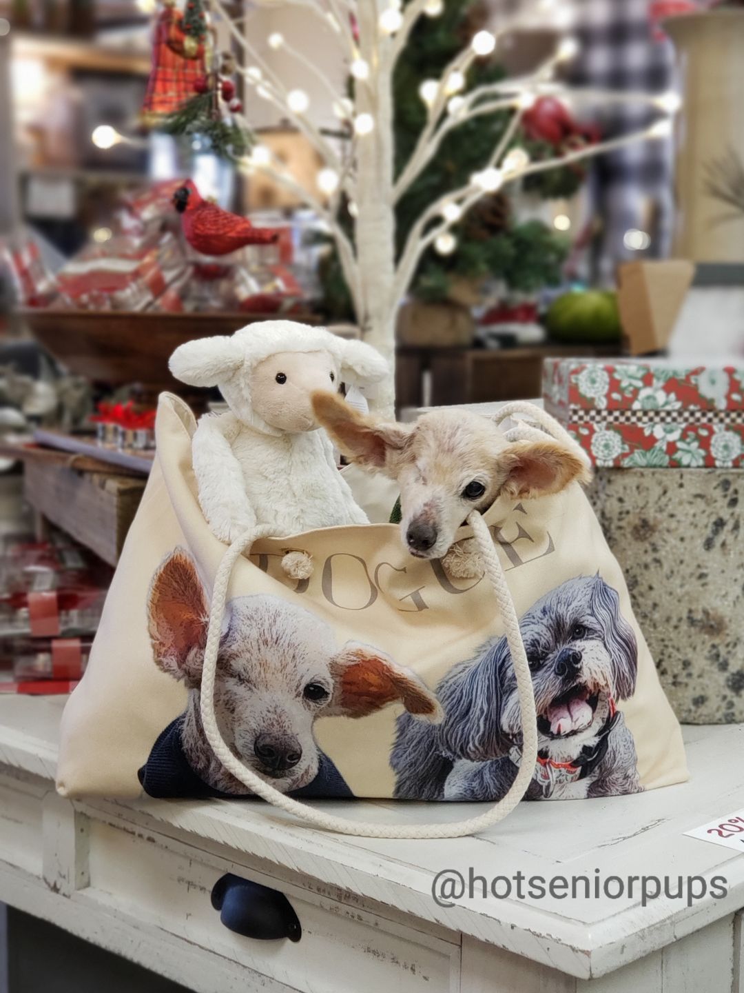 Customer photo review of Custom Pet Art Weekender Tote Bag