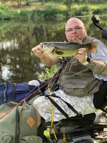 Customer photo review of Headbanger RockerHead 3-pack