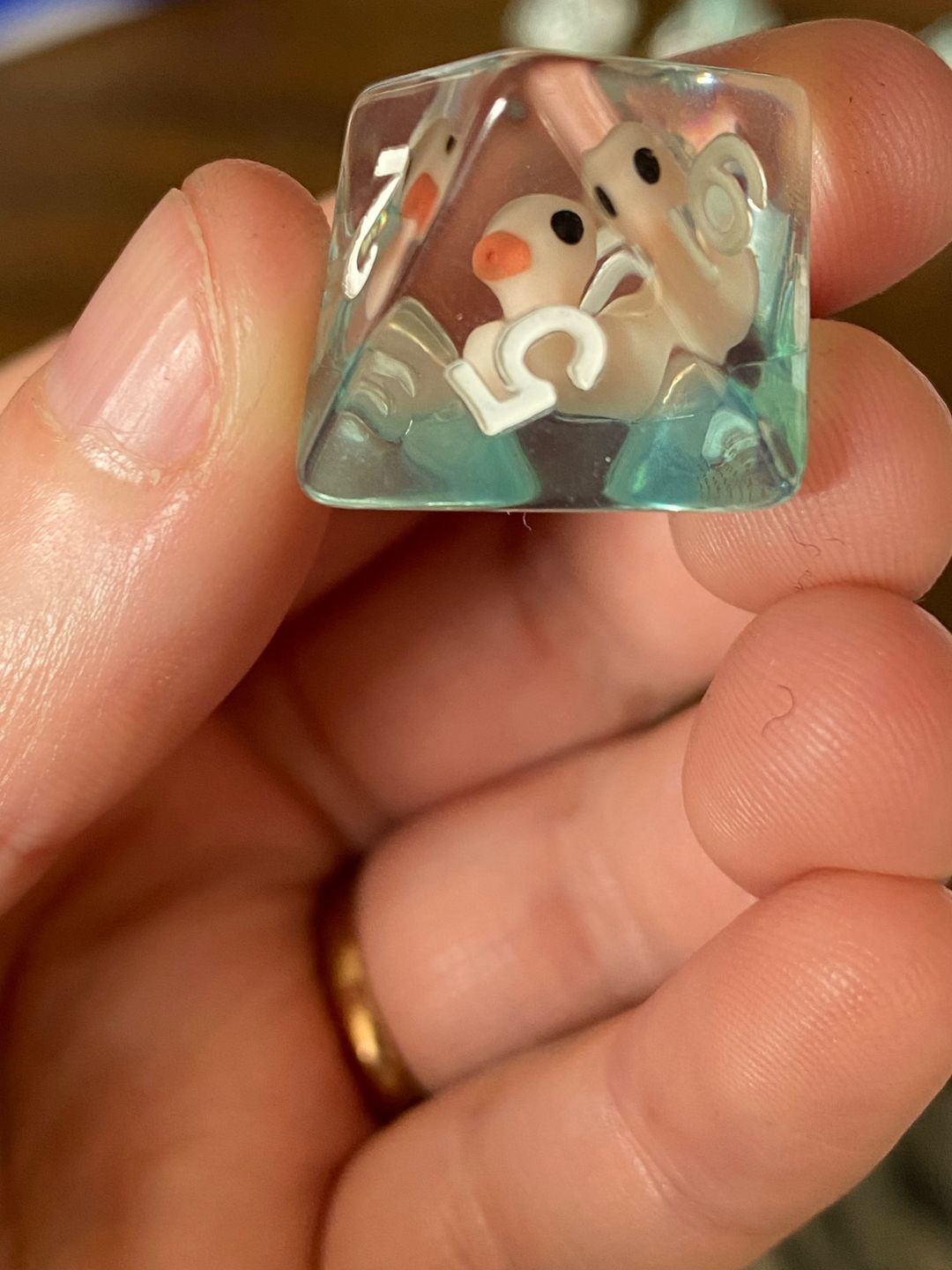 Customer photo review of Transparent Ducky - Dice Set