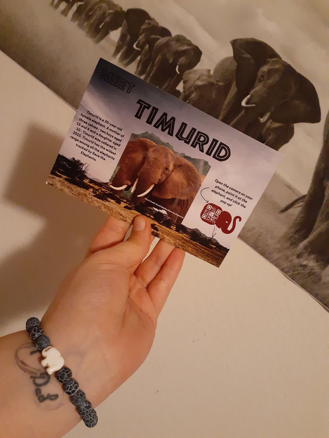 Customer photo review of The Expedition Bracelet